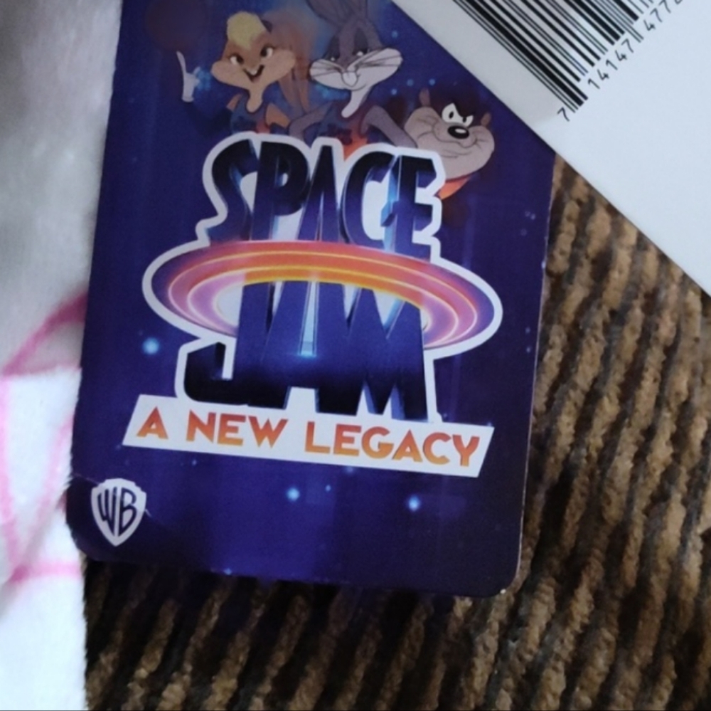 Space Jam - Picture 4 of 5